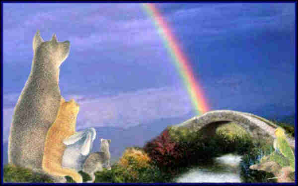 banRainbowBridge