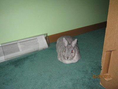 Meatloafbaby