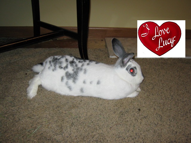 LucyKortwithHeart