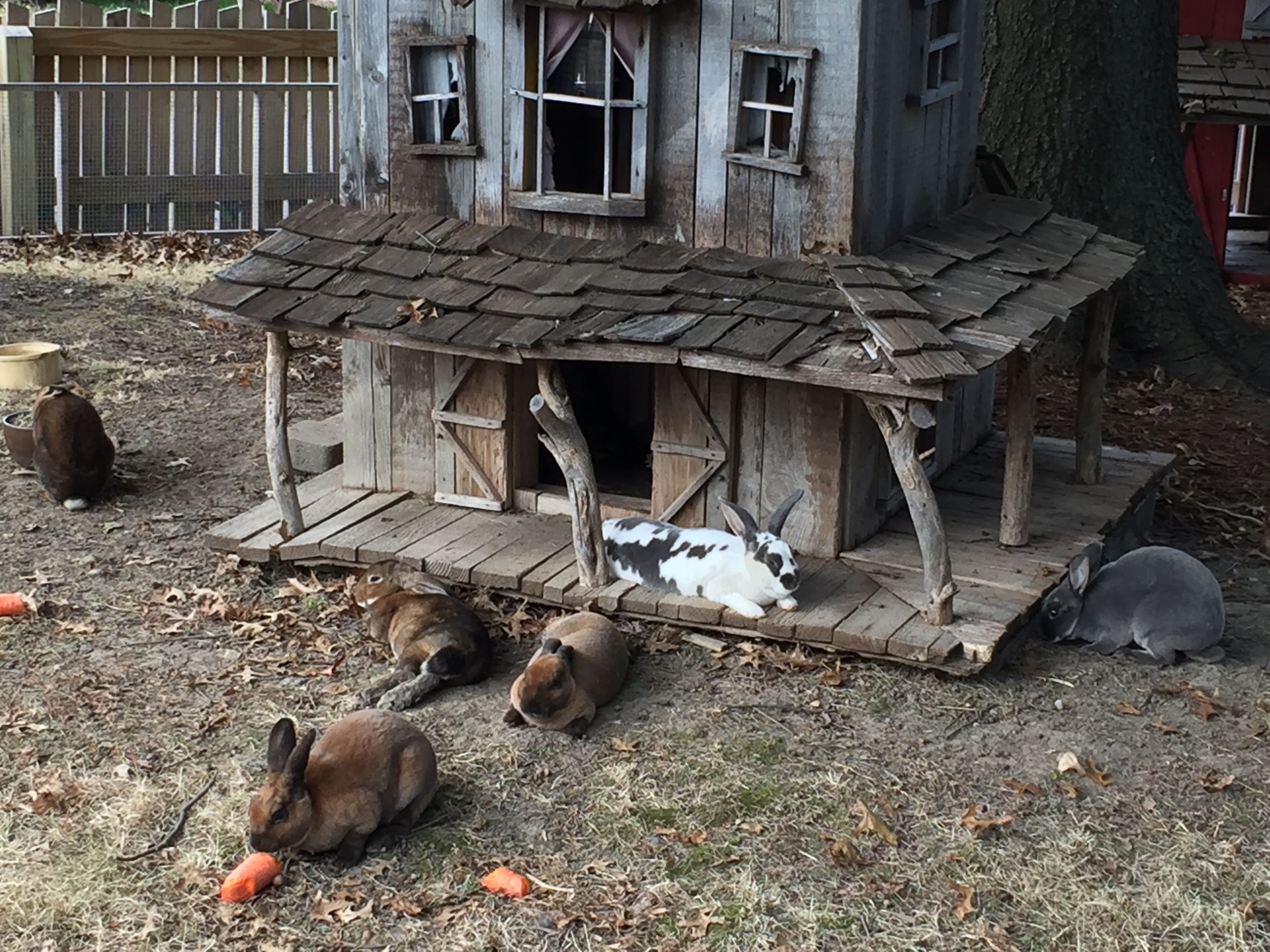 Bunnyvillage